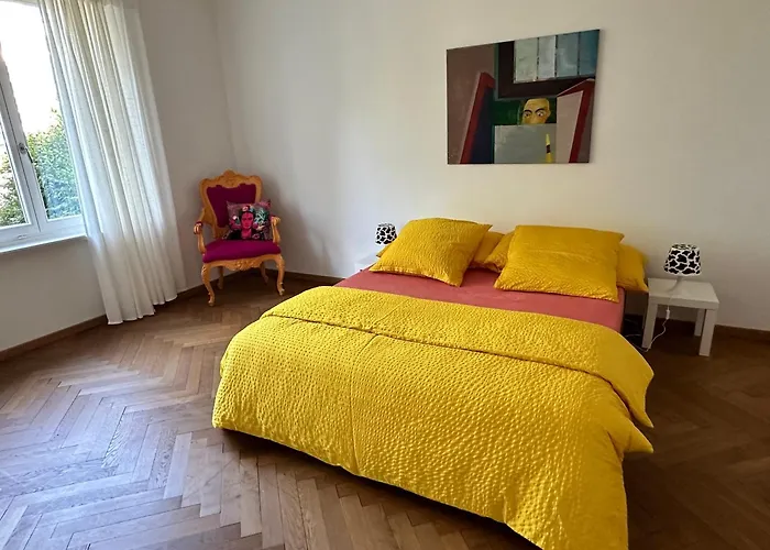 Bijoux Wohnung Auf Dem Basler Huegel